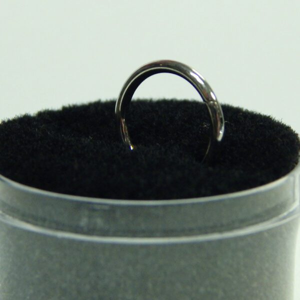16 Gauge Titanium Hinged Hoops - Image 2