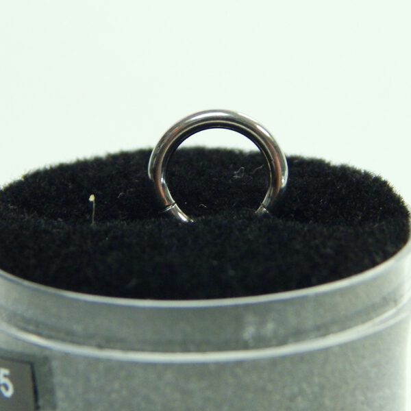 16 Gauge Titanium Hinged Hoops - Image 7