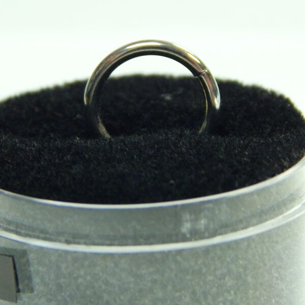 16 Gauge Titanium Hinged Hoops - Image 4