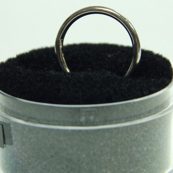 16 Gauge Titanium Hinged Hoops