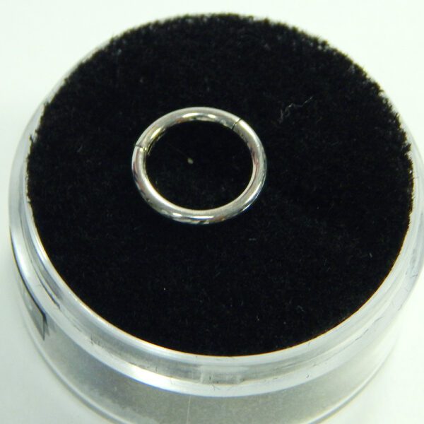 16 Gauge Titanium Hinged Hoops - Image 5