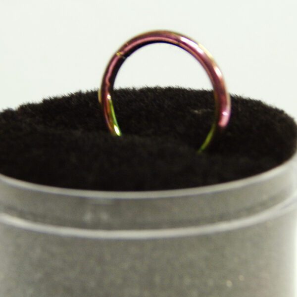 16 Gauge Anodized Titanium Hinged Hoops - Image 2