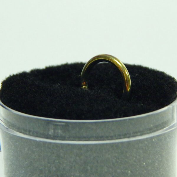 16 Gauge Anodized Titanium Hinged Hoops - Image 5