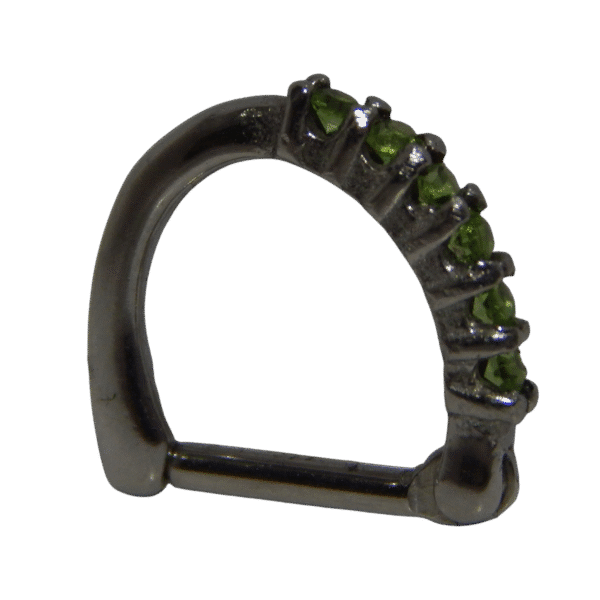 16 Gauge Tragus/Cartilage and Rook Clickers - Image 6