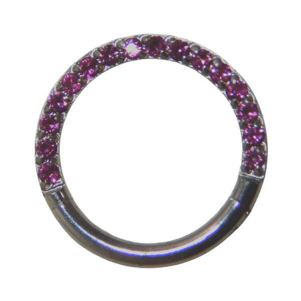 $35 Titanium Hinged Hoops 16G - Image 3