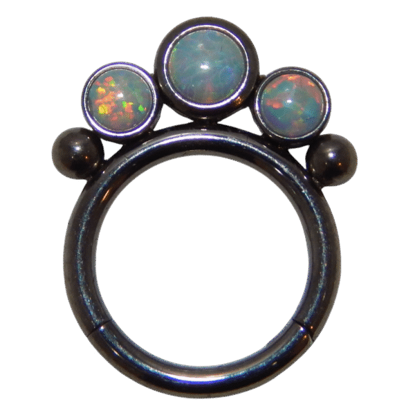 $35 Titanium Hinged Hoops 16G - Image 5